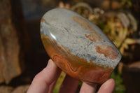 Polished Polychrome Jasper Standing Free Forms  x 3 From Mahajanga, Madagascar