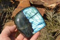 Polished Labradorite Standing Free Forms With Intense Blue & Gold Flash x 3 From Sakoany, Madagascar - TopRock