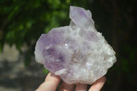 Natural Jacaranda Amethyst Clusters  x 2 From Zambia - Toprock Gemstones and Minerals 