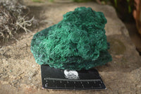 Natural Chatoyant Silky Malachite Specimens  x 2 From Kasompe, Congo - Toprock Gemstones and Minerals 