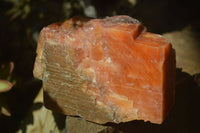 Natural New Sunset Orange Calcite Cubic Specimens  x 6 From Spitzkop, Namibia - Toprock Gemstones and Minerals 