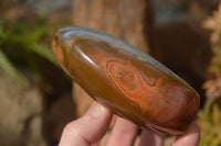 Polished Polychrome Jasper Standing Free Forms  x 3 From Mahajanga, Madagascar