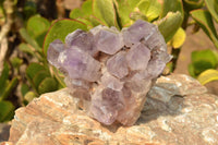 Natural Jacaranda Amethyst Quartz Clusters With Nice Clear Crystals  x 2 From Mumbwe, Zambia - TopRock