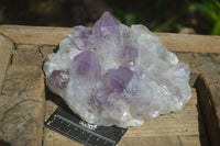 Natural Jacaranda Amethyst Clusters  x 2 From Zambia - Toprock Gemstones and Minerals 