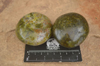 Polished Green Opal Palm Stones  x 6 From Madagascar - TopRock