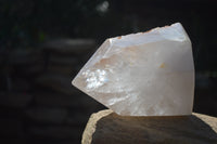 Polished Large Clear Quartz Crystal x 1 From Madagascar