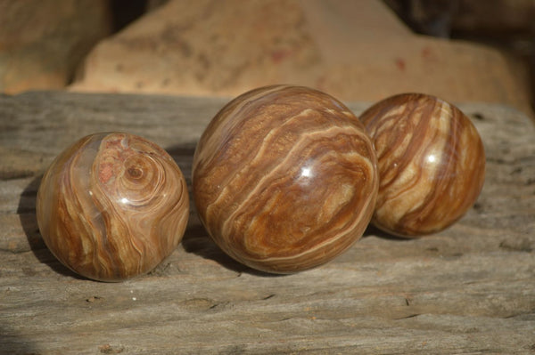 Polished  Chocolate Swirl Aragonite Spheres  x 3 From Antsirabe, Madagascar