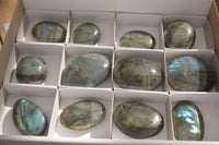 Polished  Flashy Labradorite Palm Stones  x 12 From Madagascar