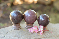 Polished Matrix Pyrope Garnet Spheres  x 3 From Madagascar - TopRock