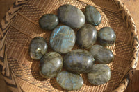 Polished  Flashy Labradorite Palm Stones  x 12 From Madagascar