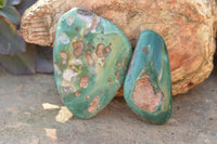 Polished XX Rare Green Chrome / Emerald Chrysoprase Free Forms   x 12 From Zimbabwe - TopRock