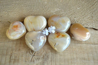 Polished Translucent Agate Hearts (Some Dendritic Features) x 6 From Madagascar - TopRock