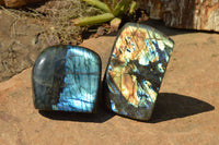 Polished Labradorite Standing Free Forms With Intense Blue & Gold Flash x 3 From Sakoany, Madagascar - TopRock