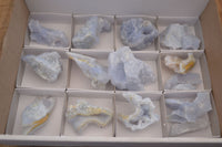 Natural Etched Blue Chalcedony Specimens  x 19 From Nsanje, Malawi