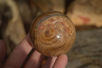 Polished  Chocolate Swirl Aragonite Spheres  x 3 From Antsirabe, Madagascar