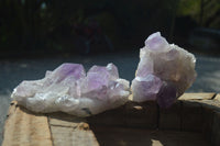 Natural Jacaranda Amethyst Clusters  x 2 From Zambia - Toprock Gemstones and Minerals 