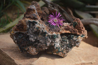 Natural Rare Ball Malachite On Drusy Quartz & Dolomite Specimen x 1 From Kambove, Congo