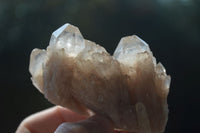 Natural White Phantom Smokey Quartz Crystal Specimens  x 12 From Luena, Congo - Toprock Gemstones and Minerals 