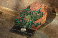 Natural Extra Large Emerald Dioptase Crystal Specimen  x 1 From Likasi, Congo