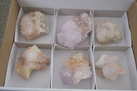 Natural Spirit Cactus Flower Quartz Clusters x 6 From Boekenhouthoek, South Africa