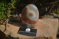 Polished Polychrome Jasper Standing Free Forms  x 3 From Mahajanga, Madagascar