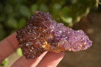 Natural Dark "Amethystos" Amethyst Crystal Plates  x 6 From Kwaggafontein, South Africa - Toprock Gemstones and Minerals 