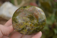 Polished Green Opal Palm Stones  x 6 From Madagascar - TopRock