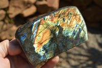 Polished Labradorite Standing Free Forms With Intense Blue & Gold Flash x 3 From Sakoany, Madagascar - TopRock