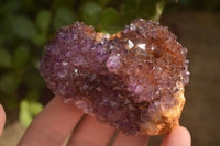 Natural Dark "Amethystos" Amethyst Crystal Plates  x 6 From Kwaggafontein, South Africa - Toprock Gemstones and Minerals 