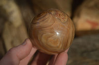 Polished  Chocolate Swirl Aragonite Spheres  x 3 From Antsirabe, Madagascar