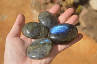 Polished  Flashy Labradorite Palm Stones  x 12 From Madagascar