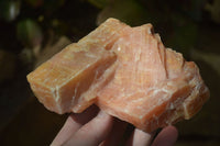 Natural New Sunset Orange Calcite Cubic Specimens  x 6 From Spitzkop, Namibia - Toprock Gemstones and Minerals 