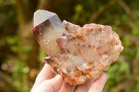 Polished Classic Red Hematoid Quartz Specimens  x 2 From Karoi, Zimbabwe - TopRock