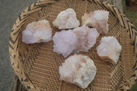 Natural Spirit Cactus Flower Quartz Clusters x 6 From Boekenhouthoek, South Africa