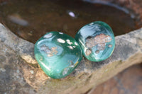 Polished XX Rare Green Chrome / Emerald Chrysoprase Free Forms   x 12 From Zimbabwe - TopRock