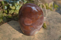 Polished Polychrome Jasper Standing Free Forms  x 3 From Mahajanga, Madagascar