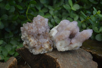 Natural Mixed Spirit Amethyst Quartz Clusters  x 6 From Boekenhouthoek, South Africa - Toprock Gemstones and Minerals 