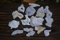 Natural Etched Blue Chalcedony Specimens  x 19 From Nsanje, Malawi