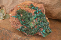 Natural Extra Large Emerald Dioptase Crystal Specimen  x 1 From Likasi, Congo