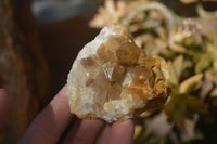 Natural Limonite Quartz Clusters x 24 From Solwezi, Zambia