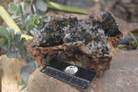 Natural Rare Ball Malachite On Drusy Quartz & Dolomite Specimen x 1 From Kambove, Congo