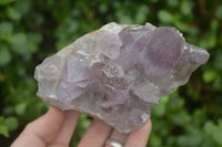 Natural Jacaranda Amethyst Clusters x 2 From Zambia