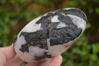 Polished Tourmalinated Quartz Standing Free Forms  x 4 From Namibia - TopRock