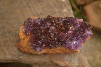 Natural Dark "Amethystos" Amethyst Crystal Plates  x 6 From Kwaggafontein, South Africa - Toprock Gemstones and Minerals 