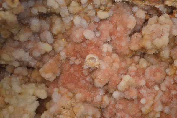 Natural Extra Large Hematoid Spirit Quartz Crystal Plate Specimen x 1 From Boekenhouthoek, South Africa