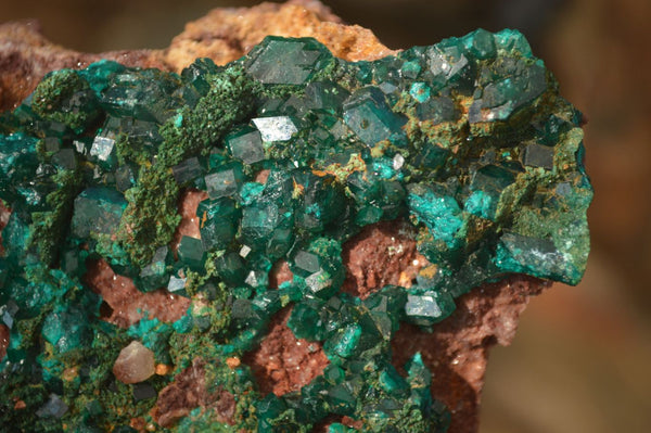 Natural Extra Large Emerald Dioptase Crystal Specimen  x 1 From Likasi, Congo