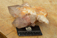 Polished Classic Red Hematoid Quartz Specimens  x 2 From Karoi, Zimbabwe - TopRock