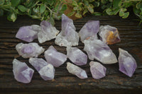 Natural Jacaranda Amethyst Crystals & Clusters  x 14 From Mumbwa, Zambia - Toprock Gemstones and Minerals 