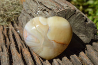 Polished Translucent Agate Hearts (Some Dendritic Features) x 6 From Madagascar - TopRock