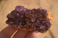 Natural Dark "Amethystos" Amethyst Crystal Plates  x 6 From Kwaggafontein, South Africa - Toprock Gemstones and Minerals 